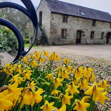 Troedyrhiw Holiday Cottages Cardigan Exterior photo