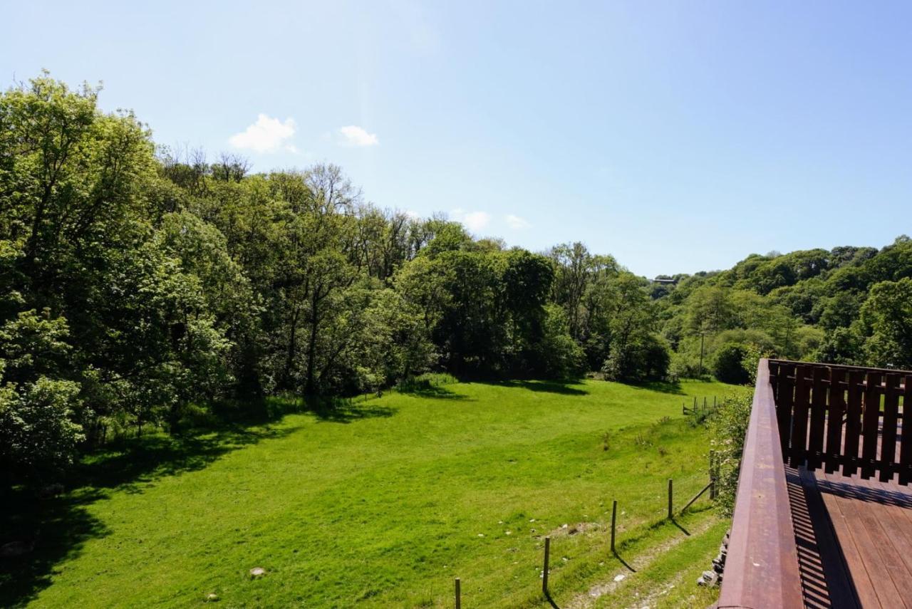 Troedyrhiw Holiday Cottages Cardigan Exterior photo